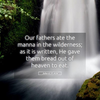 Picture 05 - John 6:31 ASV - Our fathers ate the manna in the wilderness; as - Bible Verse Picture