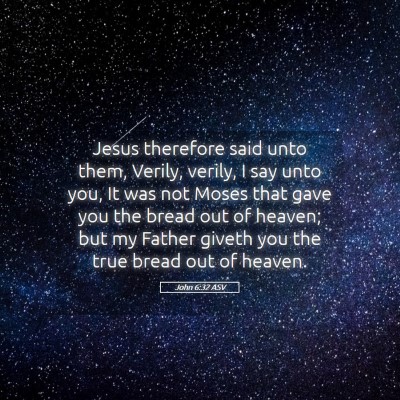Picture 05 - John 6:32 ASV - Jesus therefore said unto them, Verily, verily, I - Bible Verse Picture