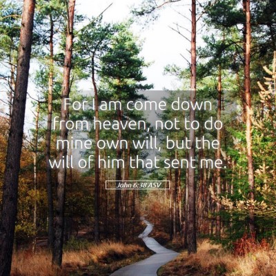 Picture 05 - John 6:38 ASV - For I am come down from heaven, not to do mine - Bible Verse Picture