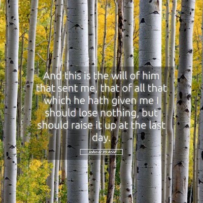 Picture 05 - John 6:39 ASV - And this is the will of him that sent me, that of - Bible Verse Picture