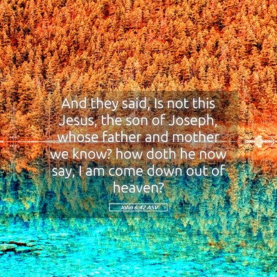 Picture 05 - John 6:42 ASV - And they said, Is not this Jesus, the son of - Bible Verse Picture