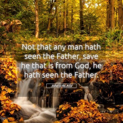 Picture 05 - John 6:46 ASV - Not that any man hath seen the Father, save he - Bible Verse Picture