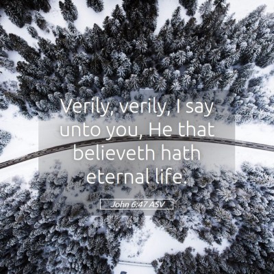 Picture 05 - John 6:47 ASV - Verily, verily, I say unto you, He that believeth - Bible Verse Picture
