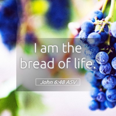 Picture 05 - John 6:48 ASV - I am the bread of - Bible Verse Picture