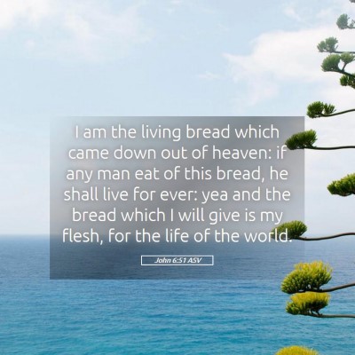 Picture 05 - John 6:51 ASV - I am the living bread which came down out of - Bible Verse Picture