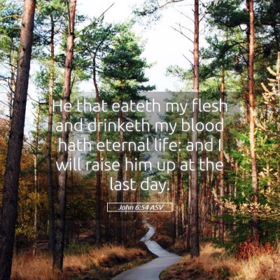 Picture 05 - John 6:54 ASV - He that eateth my flesh and drinketh my blood - Bible Verse Picture