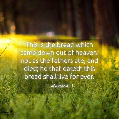 Picture 05 - John 6:58 ASV - This is the bread which came down out of heaven: - Bible Verse Picture