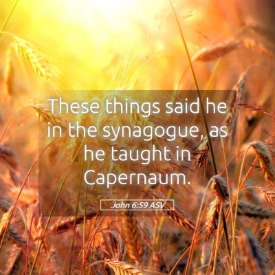 Picture 05 - John 6:59 ASV - These things said he in the synagogue, as he - Bible Verse Picture