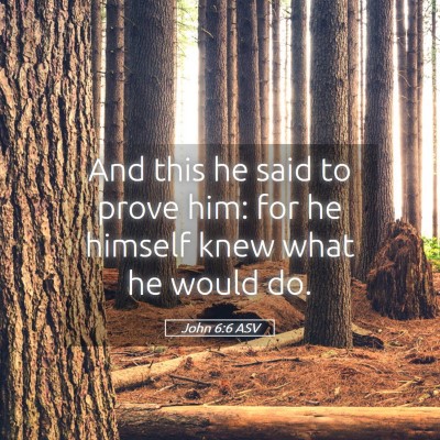 Picture 05 - John 6:6 ASV - And this he said to prove him: for he himself - Bible Verse Picture