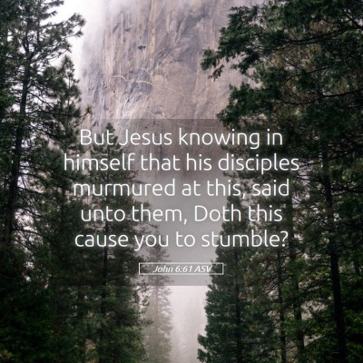 Picture 05 - John 6:61 ASV - But Jesus knowing in himself that his disciples - Bible Verse Picture