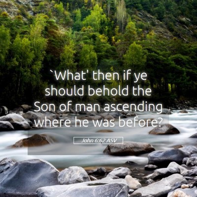 Picture 05 - John 6:62 ASV - `What' then if ye should behold the Son of man - Bible Verse Picture