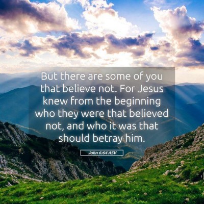 Picture 05 - John 6:64 ASV - But there are some of you that believe not. For - Bible Verse Picture