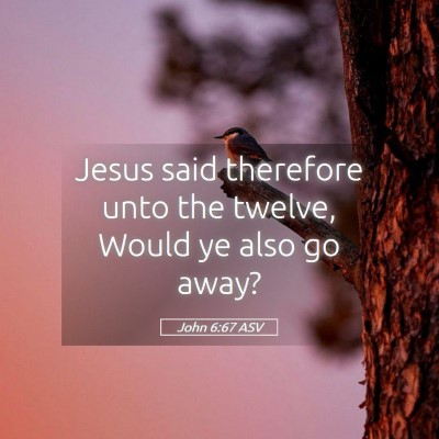 Picture 05 - John 6:67 ASV - Jesus said therefore unto the twelve, Would ye - Bible Verse Picture