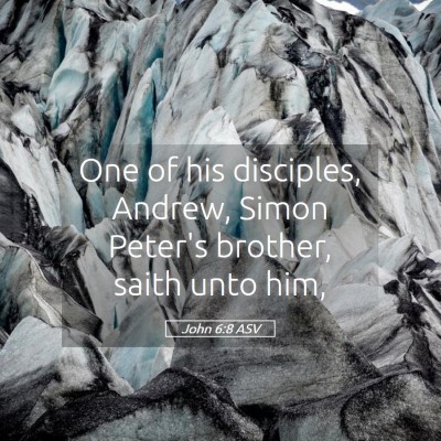 Picture 05 - John 6:8 ASV - One of his disciples, Andrew, Simon Peter's - Bible Verse Picture
