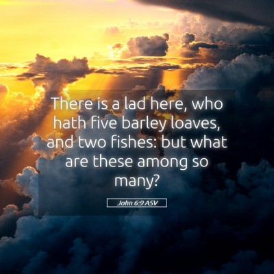 Picture 05 - John 6:9 ASV - There is a lad here, who hath five barley loaves, - Bible Verse Picture