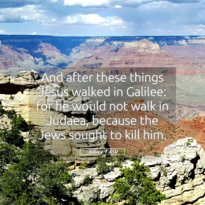 Picture 05 - John 7:1 ASV - And after these things Jesus walked in Galilee: - Bible Verse Picture