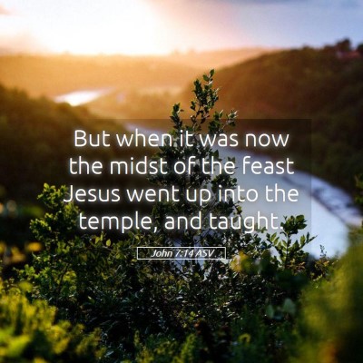 Picture 05 - John 7:14 ASV - But when it was now the midst of the feast Jesus - Bible Verse Picture