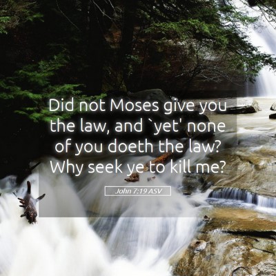 Picture 05 - John 7:19 ASV - Did not Moses give you the law, and `yet' none of - Bible Verse Picture