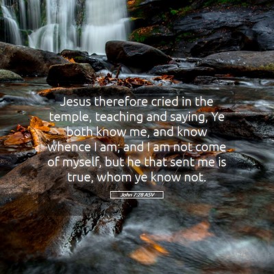 Picture 05 - John 7:28 ASV - Jesus therefore cried in the temple, teaching and - Bible Verse Picture