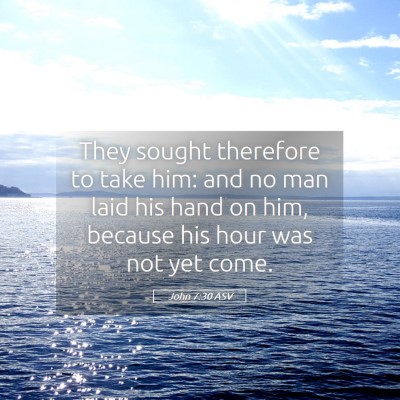 Picture 05 - John 7:30 ASV - They sought therefore to take him: and no man - Bible Verse Picture