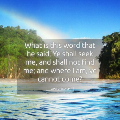 Picture 05 - John 7:36 ASV - What is this word that he said, Ye shall seek me, - Bible Verse Picture