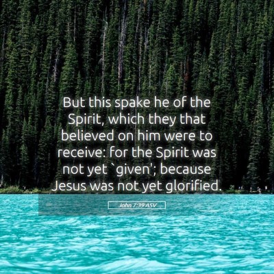 Picture 05 - John 7:39 ASV - But this spake he of the Spirit, which they that - Bible Verse Picture