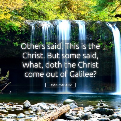 Picture 05 - John 7:41 ASV - Others said, This is the Christ. But some said, - Bible Verse Picture