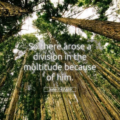 Picture 05 - John 7:43 ASV - So there arose a division in the multitude - Bible Verse Picture