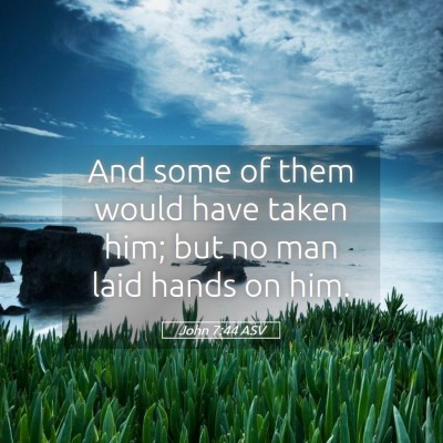 Picture 05 - John 7:44 ASV - And some of them would have taken him; but no man - Bible Verse Picture