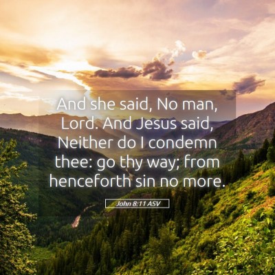 Picture 05 - John 8:11 ASV - And she said, No man, Lord. And Jesus said, - Bible Verse Picture