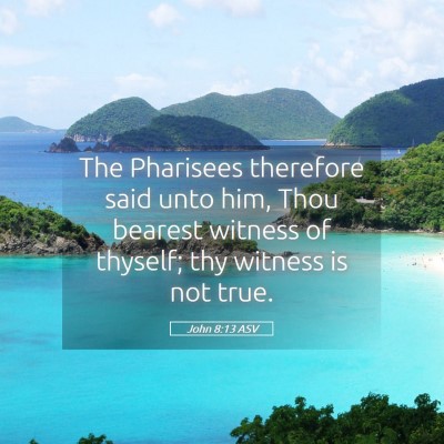 Picture 05 - John 8:13 ASV - The Pharisees therefore said unto him, Thou - Bible Verse Picture