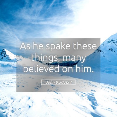 Picture 05 - John 8:30 ASV - As he spake these things, many believed on - Bible Verse Picture