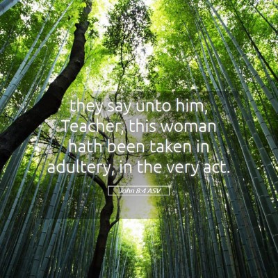 Picture 05 - John 8:4 ASV - they say unto him, Teacher, this woman hath been - Bible Verse Picture
