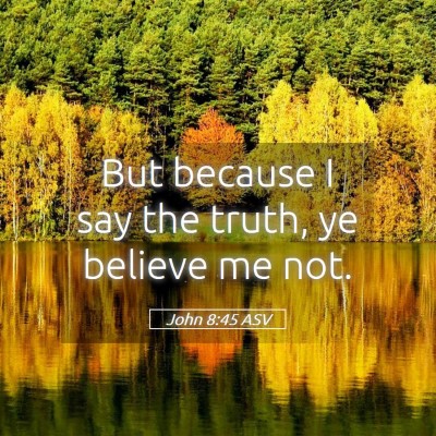 Picture 05 - John 8:45 ASV - But because I say the truth, ye believe me - Bible Verse Picture