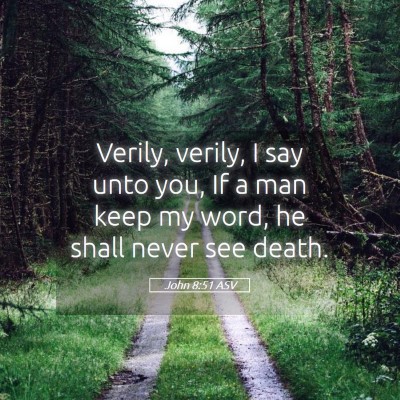 Picture 05 - John 8:51 ASV - Verily, verily, I say unto you, If a man keep my - Bible Verse Picture