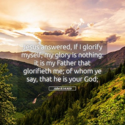 Picture 05 - John 8:54 ASV - Jesus answered, If I glorify myself, my glory is - Bible Verse Picture