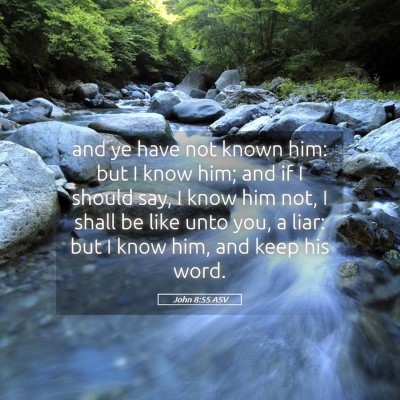 Picture 05 - John 8:55 ASV - and ye have not known him: but I know him; and if - Bible Verse Picture