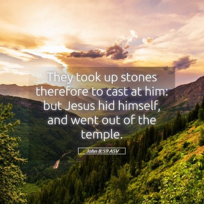 Picture 05 - John 8:59 ASV - They took up stones therefore to cast at him: but - Bible Verse Picture