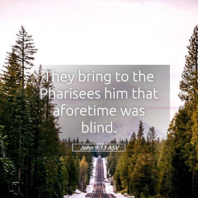 Picture 05 - John 9:13 ASV - They bring to the Pharisees him that aforetime - Bible Verse Picture