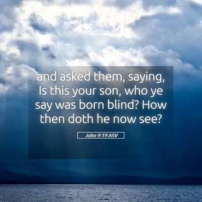 Picture 05 - John 9:19 ASV - and asked them, saying, Is this your son, who ye - Bible Verse Picture
