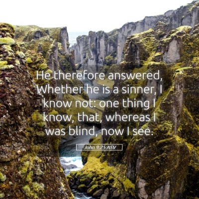 Picture 05 - John 9:25 ASV - He therefore answered, Whether he is a sinner, I - Bible Verse Picture