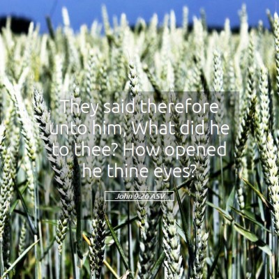 Picture 05 - John 9:26 ASV - They said therefore unto him, What did he to - Bible Verse Picture