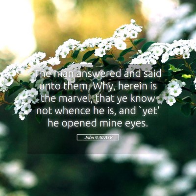 Picture 05 - John 9:30 ASV - The man answered and said unto them, Why, herein - Bible Verse Picture