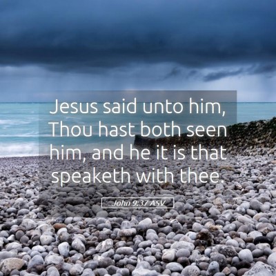 Picture 05 - John 9:37 ASV - Jesus said unto him, Thou hast both seen him, and - Bible Verse Picture