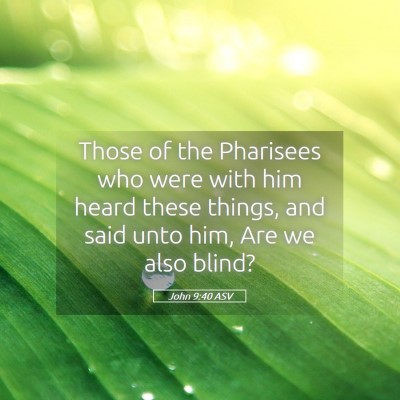 Picture 05 - John 9:40 ASV - Those of the Pharisees who were with him heard - Bible Verse Picture