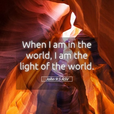 Picture 05 - John 9:5 ASV - When I am in the world, I am the light of the - Bible Verse Picture