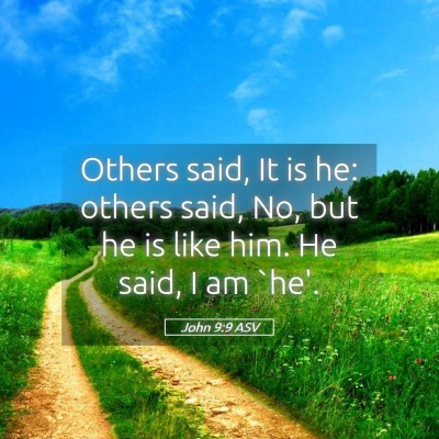 Picture 05 - John 9:9 ASV - Others said, It is he: others said, No, but he is - Bible Verse Picture