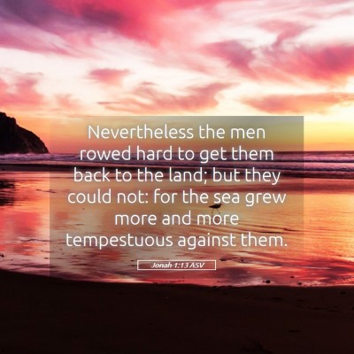 Picture 05 - Jonah 1:13 ASV - Nevertheless the men rowed hard to get them back - Bible Verse Picture