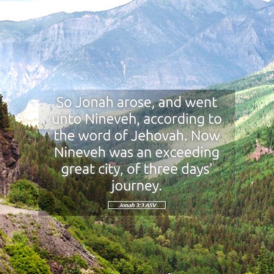 Picture 05 - Jonah 3:3 ASV - So Jonah arose, and went unto Nineveh, according - Bible Verse Picture