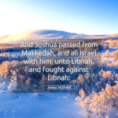 Picture 05 - Joshua 10:29 ASV - And Joshua passed from Makkedah, and all Israel - Bible Verse Picture